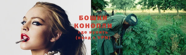 круглые Бронницы