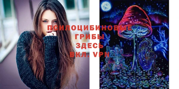 наркотики Бородино