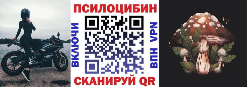 Галлюциногенные грибы Psilocybe  Купить  Дрезна 